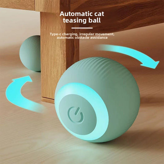 Electric cat toy