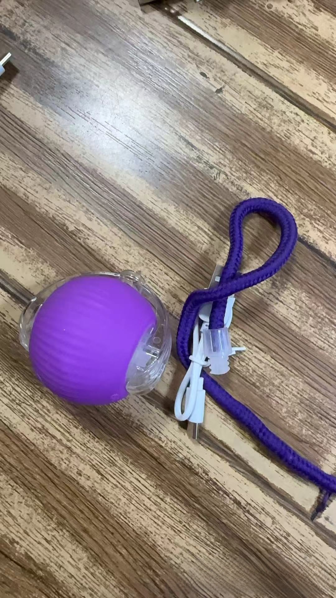 Electric cat toy