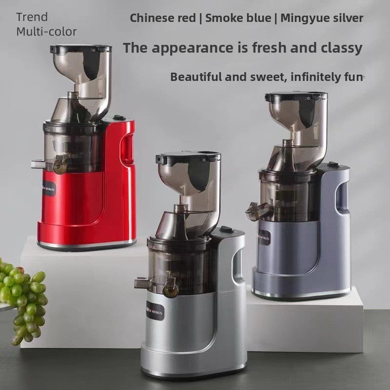 stainless steel new product juicer