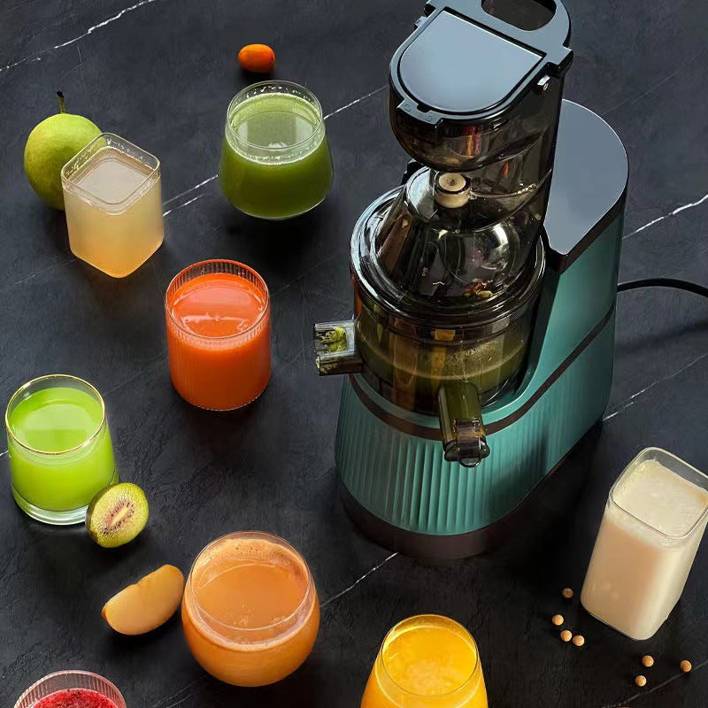 stainless steel new product juicer