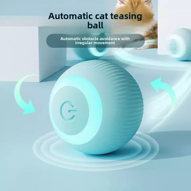 Electric cat toy